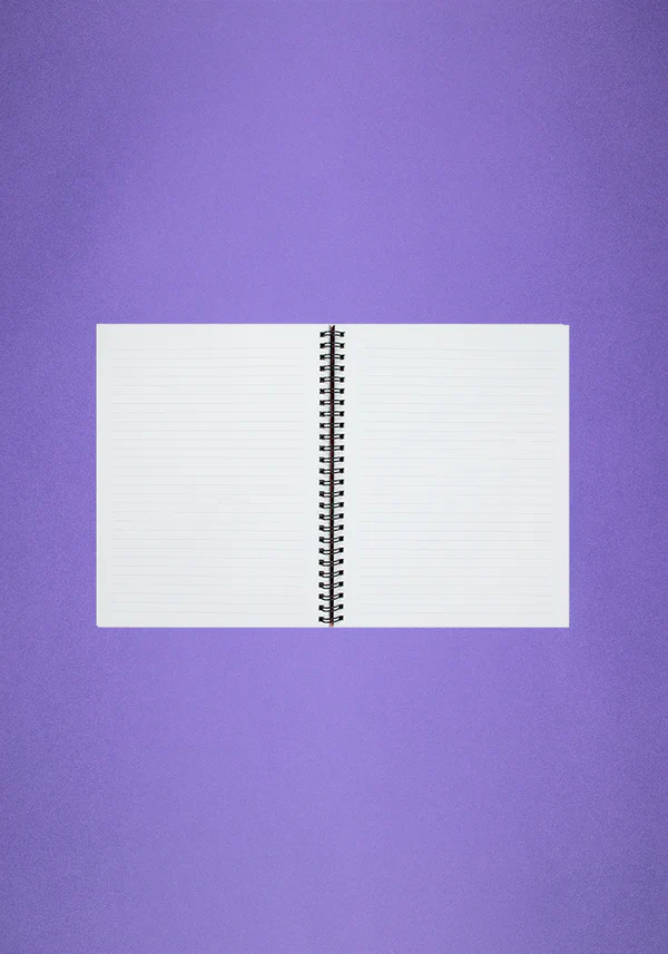 (no) bad idea(s) right? notebook